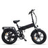 ENGWE ENGINE X | Bicicletta elettrica | Motore 250W | 48V 13AH | Autonomia 90km | GARANZIA ITALIANA